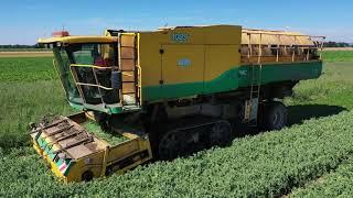 Erbsenernte 2020 im Marchfeld | Pea harvest | Ploeger | PMC