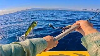 Pesca de Dorados y Pez Gallo en Baja California Sur!