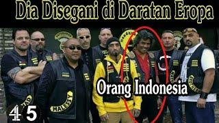 Mereka Disegani di Daratan Eropa Padahal Asli Indonesia || Satudarah MC