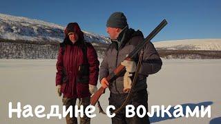 Наедине с волками. Плато Путорана. Выживание в Сибири. / ALONE WITH WOLVES