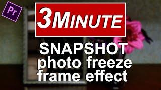 SNAPSHOT photo freeze frame effect in your video | Premiere Pro tutorial