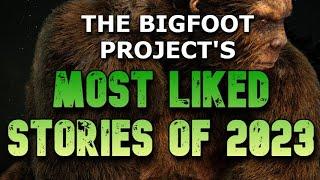 THE BIGFOOT PROJECT'S MOST LIKED STORIES OF 2023