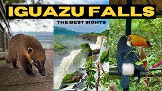 HIGHLIGHT REEL OF IGUAZU FALLS! | CINEMATIC JOURNEY #argentina #brazil