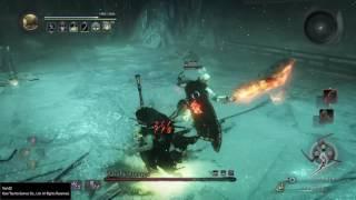 Nioh Super Armor Buff