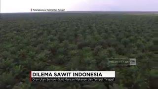 Dilema di Balik Perkebunan Sawit Indonesia