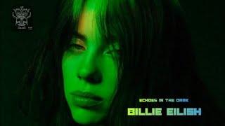 Songs | Billie eilish - "Echoes in the Dark" new Song | Official Music Video #song #music #lyrics