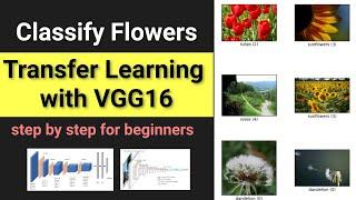 Transfer Learning with pretrained VGG16 | How to do transfer learning? | Deep Learning | Data Magic