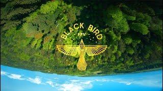 BLACK BIRD FPV - FPV FREESTYLE - Trying to fly more human ( JUICE is not DEAD)