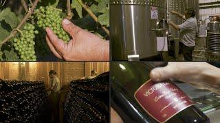 Brazil's sparkling-wine producers carve a growing niche | AFP