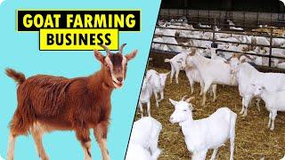 How to start Goat Farming Business | Goat Farming Business Plan | Goat Farming Guide for Beginners