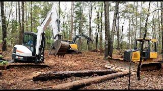 Clearing the woods for a house site