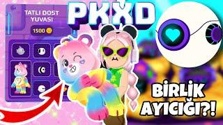 PK XD PET POD ALARAK BİRLİK AYICIĞI ELDE ETTİM! / BİRLİK AYICIĞI NASIL ALINIR? | SESLİ VİDEO