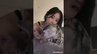 cuty sexy ditesuna 2【tiktok instagram】【かわいい 韓国 korean】