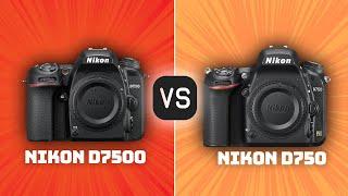 Nikon D7500 vs Nikon D750: Which Camera Is Better? (With Ratings & Sample Footage)