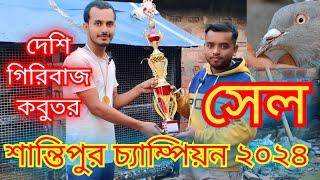 গিরিবাজ কবুতর সেল চ্যাম্পিয়নের।। gerebaj pigeon sale chumpion।।