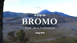 #14 | Bromo Travel Vlog