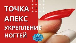 Укрепление ногтей гелем. Где находится апекс ногтя?