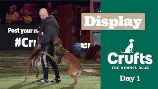 Paws on Patrol! The Western Police Dogs are Back in Action | Crufts 2025