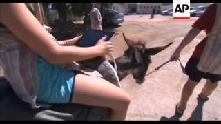 Israel - Donkey Wi-Fi