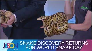 An anaconda in our studio! Emily Roberts from Snake Discovery returns for World Snake Day