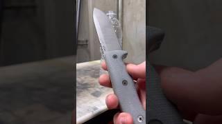 Architect AK 5.5 3V #shorts #knife #knives #architectknives #scarysharp #fixie #fixedbladeknife