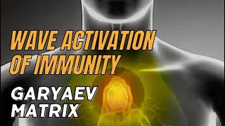 Wave Activation of Immunity Matrix Garyaev