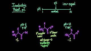 Isoelectric Point and Zwitterions