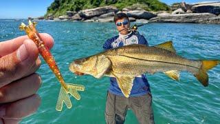 FISHING FOR BIG SEA BASS IN THE SEA, WITH REALISTIC ARTIFICIAL SHRIMP!!!