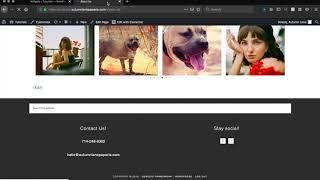 WordPress Tutorial: How to set up social media icons using Simple Social Icons