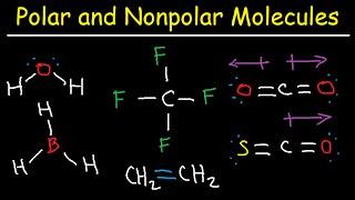 Polar and NonPolar Molecules: How To Tell If a Molecule is Polar or Nonpolar