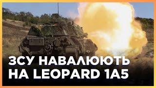 НІМЕЦЬКИЙ ХИЖАК в дії! ЗСУ показали Leopard 1A5 з СЕРЕДИНИ