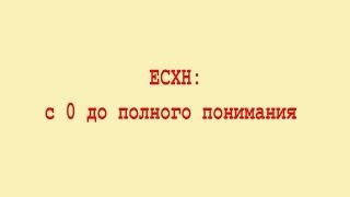 Онлайн-курс ЕСХН: с нуля до полного понимания