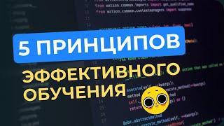 python с нуля - 5 принципов эффективного обучения | Обучение Питона на Stepik