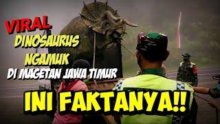 FAKTA video viral DINOSAURUS ngamuk saat diturunkan dari truk di Magetan