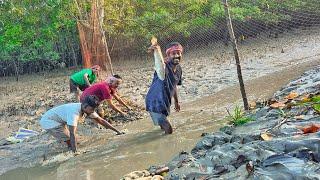 এই প্রথমবার সুন্দরবন জঙ্গলে,খাল পাটা দিয়ে মাছ ধরলাম!!!