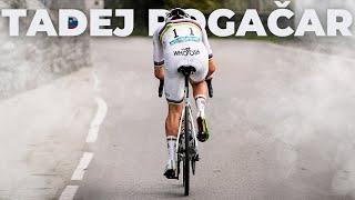 BEST OF CYCLING | TADEJ POGAČAR 2024