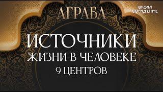 Источники жизни в человеке. 9 центров #ЗолотойВекАграбы #9центров #источникижизни #Гарат