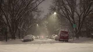 Winter Night with Heavy Snowfall | Distant Howling Wind Sounds