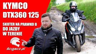 Kymco DTX360 125 w teście. Skuter do jazdy w terenie na prawo jazdy kat B