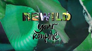 Rewild Your Routine: How Lush’s Natural Ingredients Support Biodiversity & Local Communities