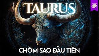 KIM NGƯU - Tổng quan chòm sao TAURUS - Nguồn gốc & Câu chuyện | SAMURICE ft Trangkat