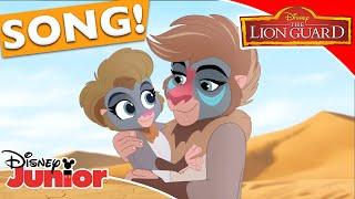  Don't Forget to Look Back | The Lion Guard | Disney Kids
