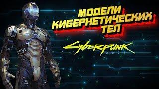 Модели кибернетических тел [Часть 1] | Cyberpunk 2020