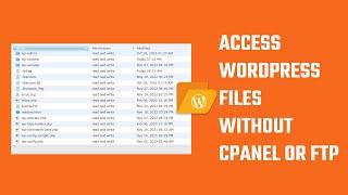 File Manager: Access all WordPress files without cPanel or FTP? | #Shorts
