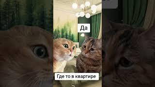 РАЗГОВОР ДВУХ КОТОВ ч.25