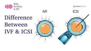 What is the difference between IVF & ICSI ? | Birla Fertility & IVF
