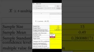 ‍Find T multiple️, Confidence Level using T inverse Function in Excel #maths  #shorts #business