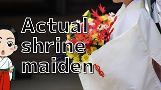 [Behind the shrine maiden] What is it like to actually be a shrine maiden?
