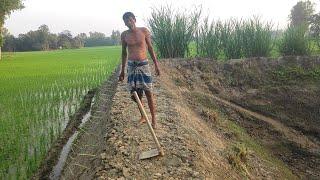 আপনাদের আর্শিবাদে সব কিছু মিলিয়ে আমরা শান্তিতেই আছি our simple village life vlog