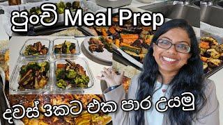 පුංචි Meal Prep | Sunday Vlog